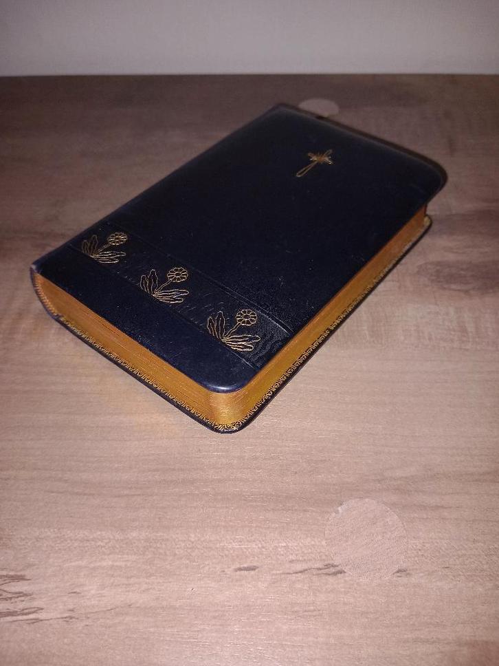 Het Gulden Wierookvat (1904), Antiek en Kunst, Antiek | Boeken en Bijbels, Ophalen of Verzenden