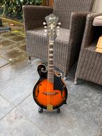 Ibanez M522S-BS mandoline met K&K Sound pickup en koffer, Ophalen of Verzenden, Gebruikt
