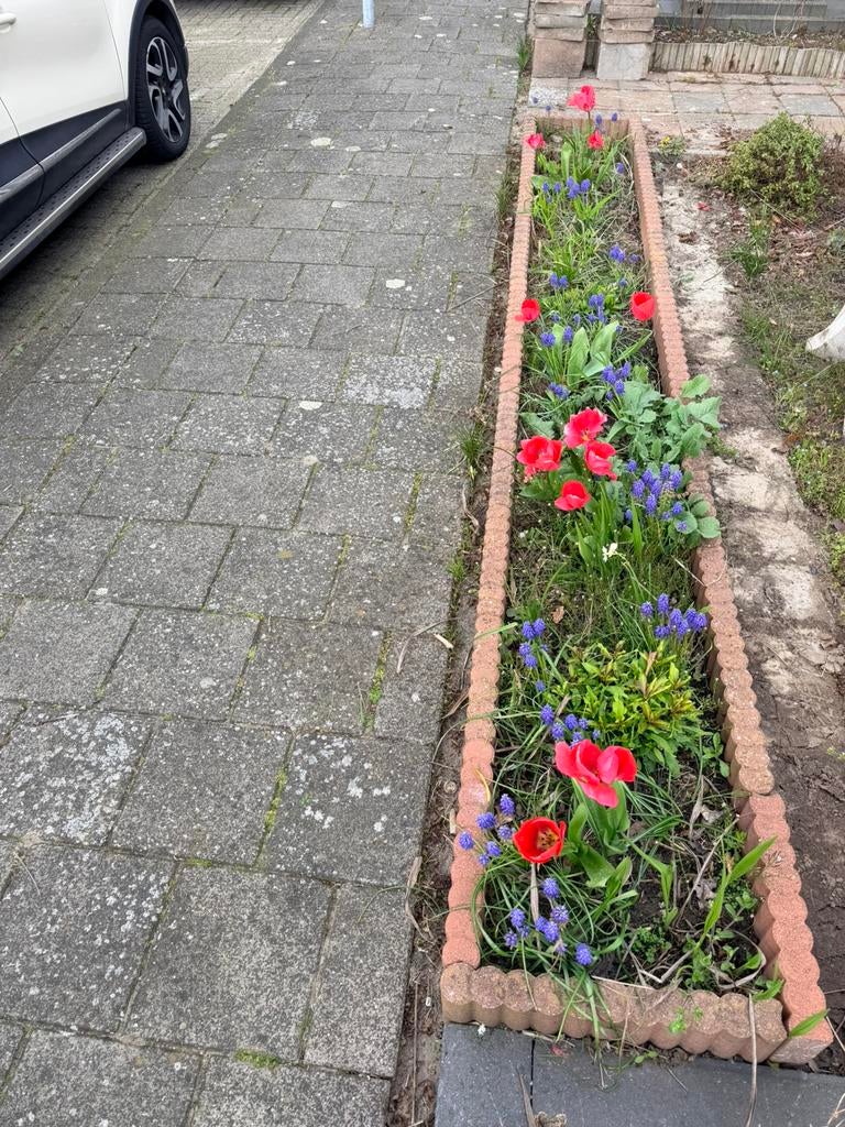 Rode pallisade 25 cm hoog, Tuin en Terras, Ophalen, Gebruikt, Minder dan 100 cm, Minder dan 25 cm