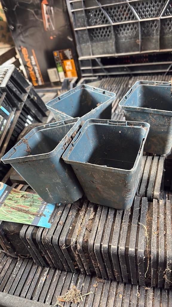 Ongeveer 900 kweekpotten 9x9 cm, Tuin en Terras, Ophalen of Verzenden, Gebruikt, Kweekbak