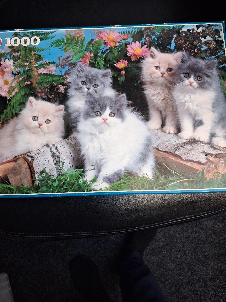 poezen puzzel, Ophalen of Verzenden, 500 t/m 1500 stukjes