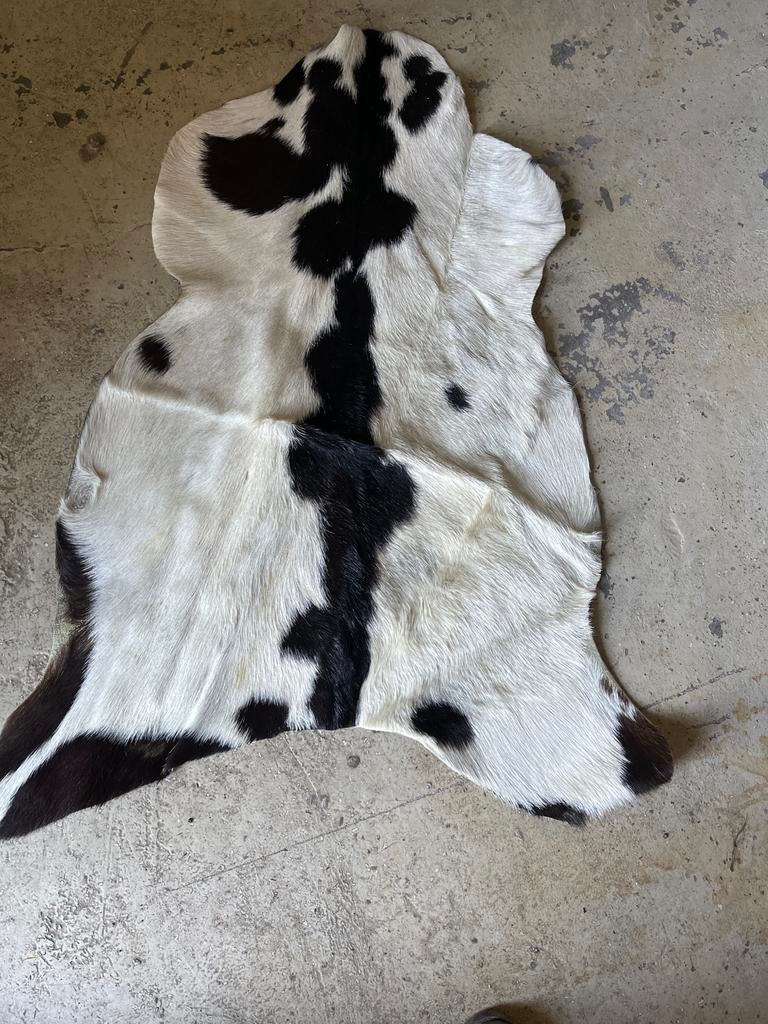 Kleine zwart-witte vacht, Minder dan 50 cm, Gebruikt, 50 tot 100 cm, Wit