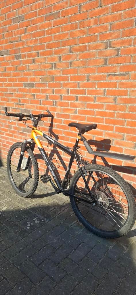 Mountenbike, 28 inch, Vering, 49 tot 53 cm, Zo goed als nieuw