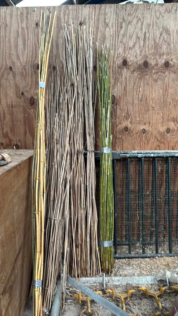 Bamboe stokken tot 2.5 mtr, Ophalen, Zo goed als nieuw, Minder dan 3 meter