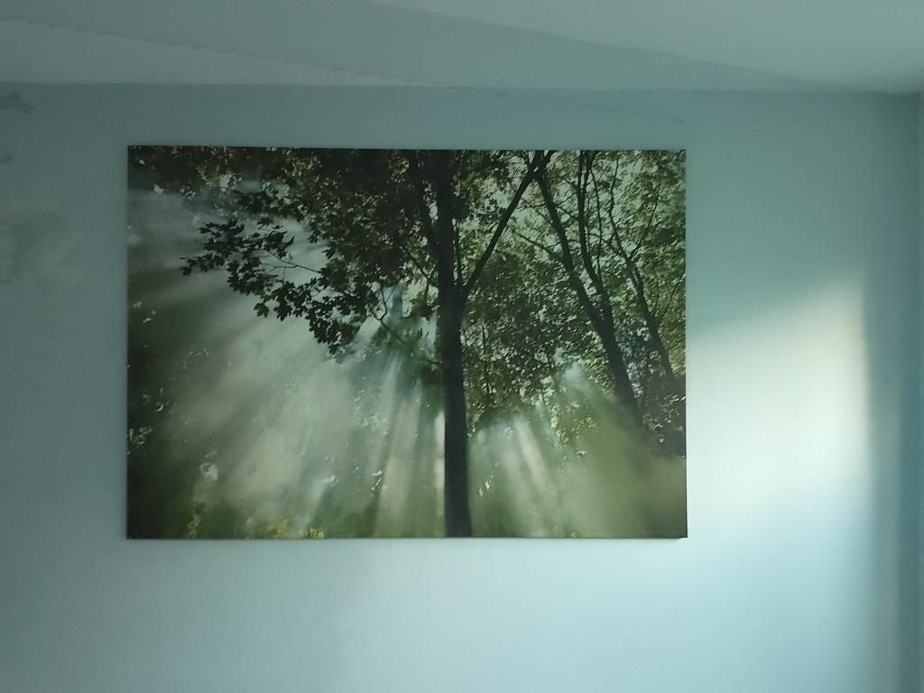 Schilderij bomen bos 2.00m bij 1.40, Ophalen