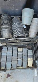 Plastic binnenpotjes, diverse maten - ideaal voor kwekers, Kunststof, Gebruikt, Minder dan 30 cm, Minder dan 60 cm