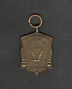 Medaille Giethoorn Hollands Venetië Tocht., Ophalen of Verzenden, Zo goed als nieuw