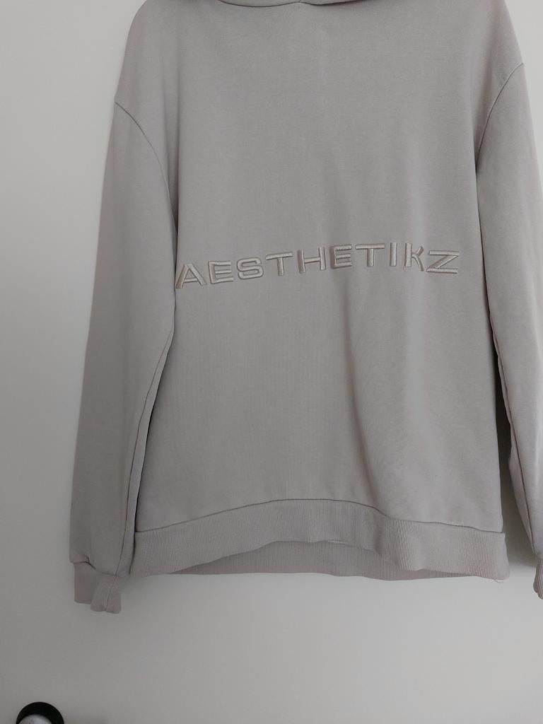 DAILY AESTHETIKZ TRUI MAAT XS, Kleding | Heren, Truien en Vesten, Ophalen of Verzenden, Zo goed als nieuw, Maat 46 (S) of kleiner