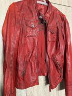 Dames Gipsy Jas Rood Maat S, Gipsy, Verzenden, Maat 36 (S), Gedragen