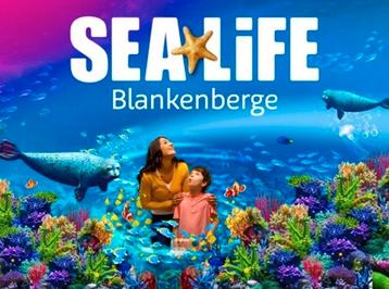 Sea Life Blankenberge  beschikbaar voor biedingen