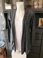 Leuk vest van Pink Lady maat L, Maat 38/40 (M), Douwenmaat 8-3 Meppel, Info@again.nu, Ophalen of Verzenden