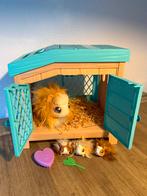 Mama surprise cavia in hok, Ophalen of Verzenden, Zo goed als nieuw, Jongen of Meisje