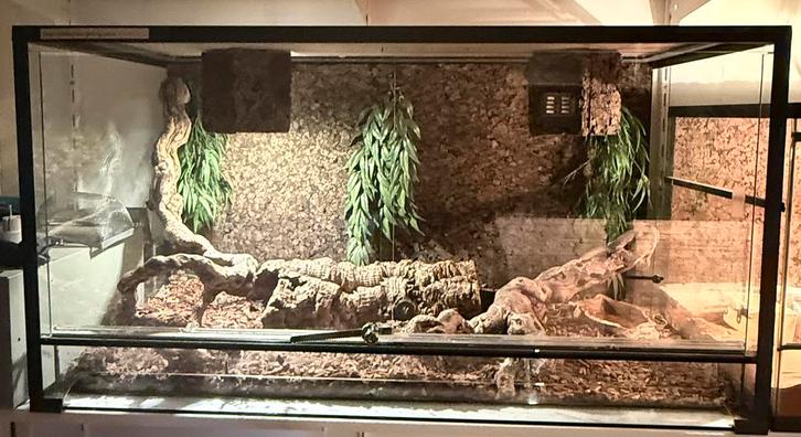 Groot terrarium, Dieren en Toebehoren, Reptielen en Amfibieën | Toebehoren, Gebruikt, Terrarium of Paludarium, Ophalen