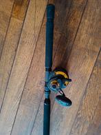 Kinetic Brutalis 200-600 gram + Reel - Meerval/Zeevis, Ophalen, Nieuw