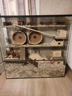 Chinchilla terrarium of grote degoe kooien kopen, Nieuw, 90 cm of meer, 110 cm of meer, Ophalen of Verzenden