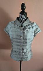*NIEUW* RENA MARX BODYWARMER 38 - INFO ZIE ADVERTENT, Ophalen of Verzenden, Nieuw, Maat 38/40 (M)