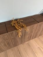 Decoratieve gedroogde haver takken, Huis en Inrichting, Woonaccessoires | Droogbloemen, Ophalen of Verzenden, Nieuw