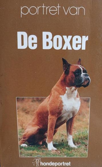 Portret van de boxer - Ruud Haak beschikbaar voor biedingen