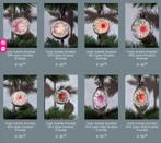 Oude antiek vintage kerstbal ajeko zonnetje deukbal, Diversen, Kerst, N, Ophalen of Verzenden, H, Y