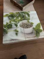 Glasplaat Kookplaat - 2 Delen, Huis en Inrichting, Keuken | Keukenelementen, Overige kleuren, Zo goed als nieuw, Minder dan 25 cm