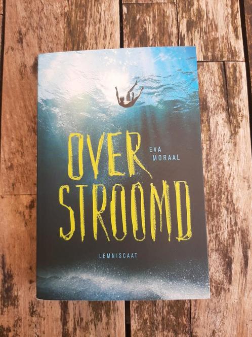 Overstroomd eva moraal boek, Boeken, Overige Boeken, Zo goed als nieuw, Ophalen of Verzenden