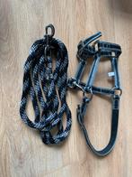 Pony halter en verzorgingsset borstels hoevenkrabber, Dieren en Toebehoren, Paarden en Pony's | Verzorgingsproducten, Ophalen