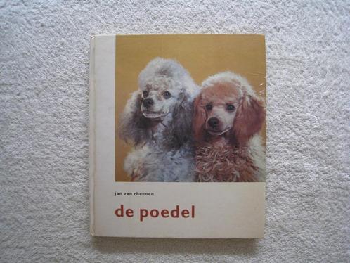 De poedel, Boeken, Dieren en Huisdieren, Gelezen, Honden, Ophalen of Verzenden