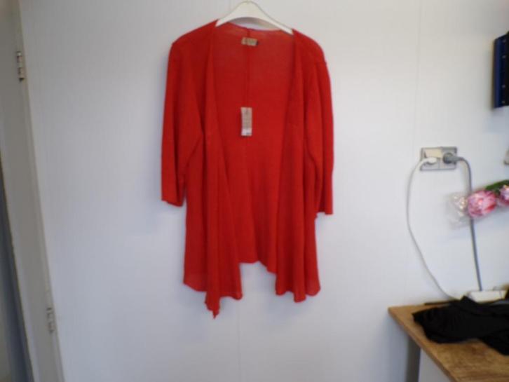 ger. Leuk oranje linnen vest Coto XXXL - 50/52 nieuw!, Kleding | Dames, Grote Maten, Nieuw, Trui of Vest, Oranje, Ophalen of Verzenden