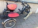 Van Raam Fun2Go Electrische Duofiets., Fietsen en Brommers, Fietsen | Driewielfietsen, Ophalen of Verzenden, Gebruikt