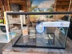 Hamster / kooi / 60x40x40 (LxDxH), Kooi, Minder dan 75 cm, Zo goed als nieuw, Hamster