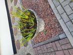 2 Ronde Betonnen Plantenbakken met Kiezelstenen, Ophalen, Gebruikt, Rond, Tuin