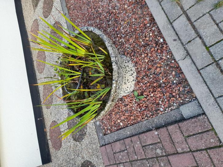 2 Ronde Betonnen Plantenbakken met Kiezelstenen, Tuin en Terras, Bloembakken en Plantenbakken, Gebruikt, Balkon, Tuin, 30 tot 60 cm