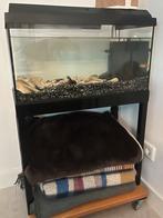 Aquaria met ondertiteling verplaats baar, Dieren en Toebehoren, Vissen | Aquaria en Toebehoren, Ophalen of Verzenden, Zo goed als nieuw