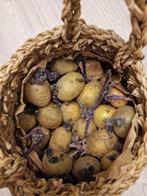Gespruitte aardappelen voor in de grond, Diversen, Levensmiddelen, Ophalen of Verzenden