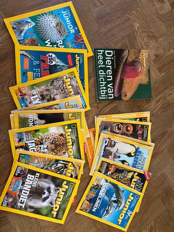 National Geographic Junior Tijdschriften - Collectie beschikbaar voor biedingen