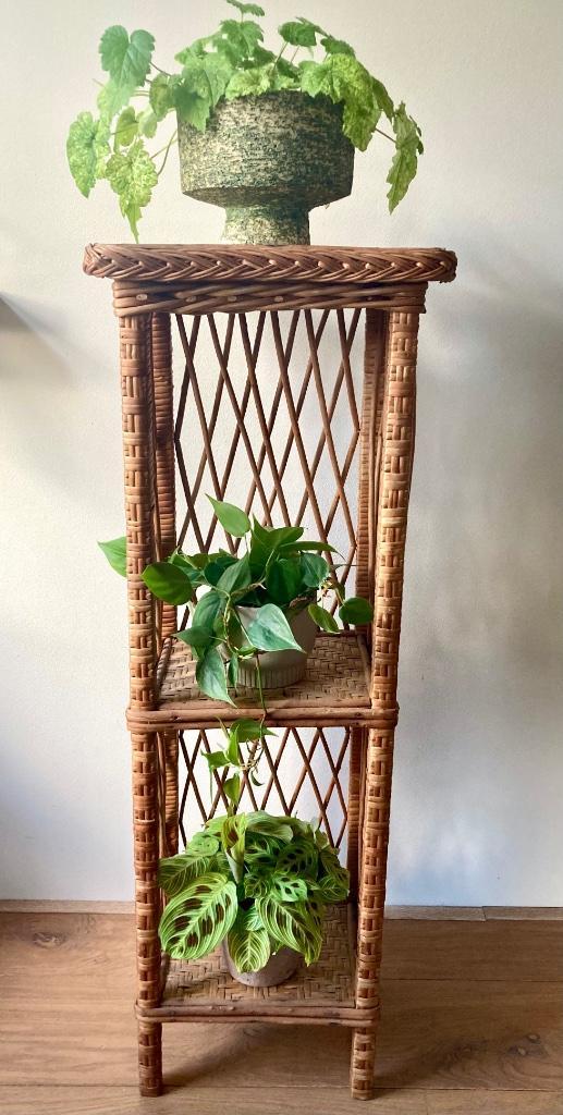 Vintage rotan rieten kastje hoog model voor planten boeken, Huis en Inrichting, Kasten | Overige, Gebruikt, Ophalen