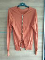 Dames vestje cognac Kleur Superstar zgan, Kleding | Dames, Truien en Vesten, Oranje, Maat 38/40 (M), Ophalen of Verzenden, Zo goed als nieuw