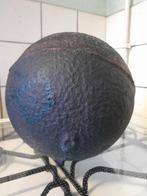 Boei nettendrijver, Ophalen of Verzenden