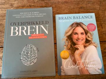 Twee boeken van Charlotte Labee beschikbaar voor biedingen