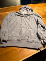 Grijze Coal Hoodie - Maat L, Ophalen of Verzenden, Zo goed als nieuw, Maat 52/54 (L), Grijs