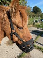 Te koop: Graaskorf, Dieren en Toebehoren, Ophalen, Gebruikt, Overige soorten