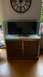 Zeeaqurium met onderkast., Ophalen, Gebruikt, Leeg aquarium
