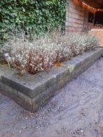 Stenen voor het ophogen border, Ophalen, Gebruikt, Overige typen, Minder dan 5 m²