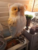 2 x zeer grote decoratie uilen 60.00 p.s, Dieren en Toebehoren, Meerdere dieren, Kleurkanarie