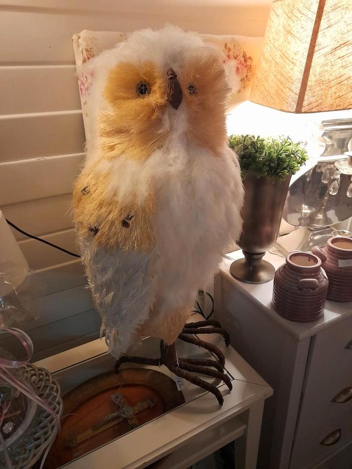 2 x zeer grote decoratie uilen 60.00 p.s, Dieren en Toebehoren, Vogels | Kanaries, Kleurkanarie, Meerdere dieren