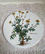 Metalen afdekplaat Villeroy & Boch, Ophalen of Verzenden