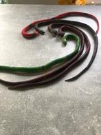 5 nepslangen, Dieren en Toebehoren, 0 tot 2 jaar