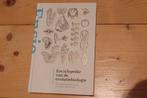 Nico M. van Straalen - Encyclopedie van de evolutiebiologie, Ophalen of Verzenden, Zo goed als nieuw, Nico M. van Straalen
