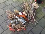 Droogbloemen,decoratie,DIY,knutselen,wonen, Gebruikt, Ophalen