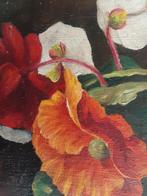 Begonia's ,olieverfschilderij., Antiek en Kunst, Kunst | Schilderijen | Klassiek, Ophalen